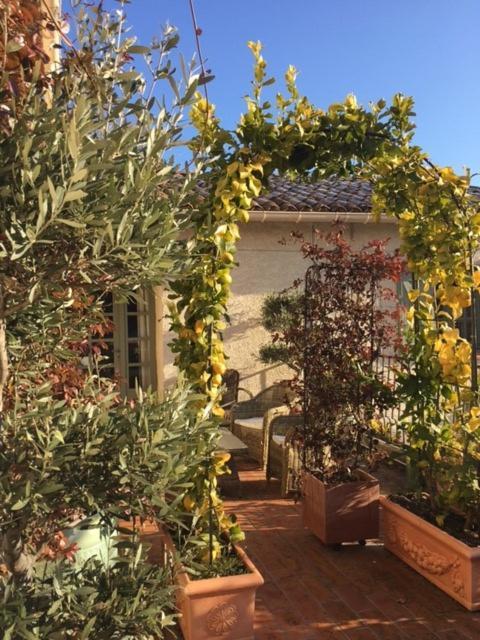 Domaine Le Bois Des Dames Acomodação com café da manhã Chantemerle-lès-Grignan Exterior foto