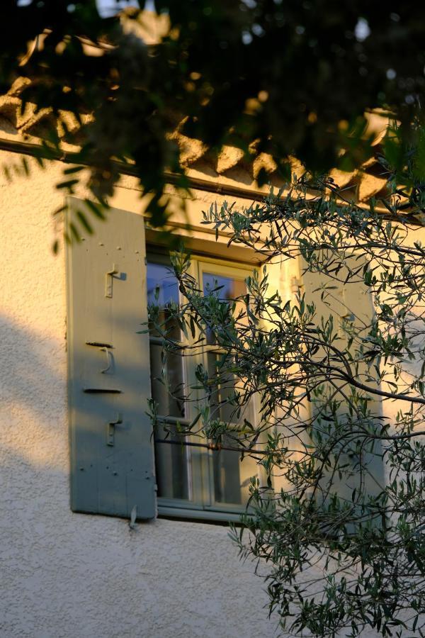 Domaine Le Bois Des Dames Acomodação com café da manhã Chantemerle-lès-Grignan Exterior foto