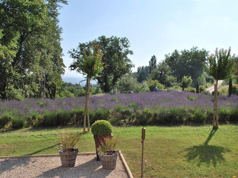 Domaine Le Bois Des Dames Acomodação com café da manhã Chantemerle-lès-Grignan Exterior foto
